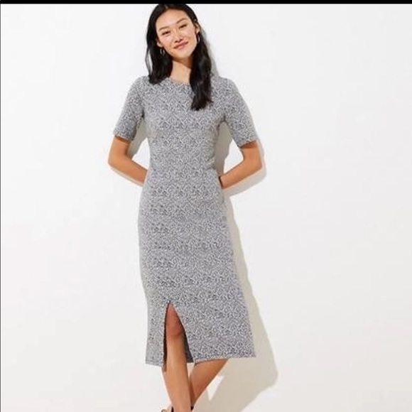 LOFT Dresses & Skirts - LOFT Leopard Jaquard Midi Sweater Dress Size 2 EUC